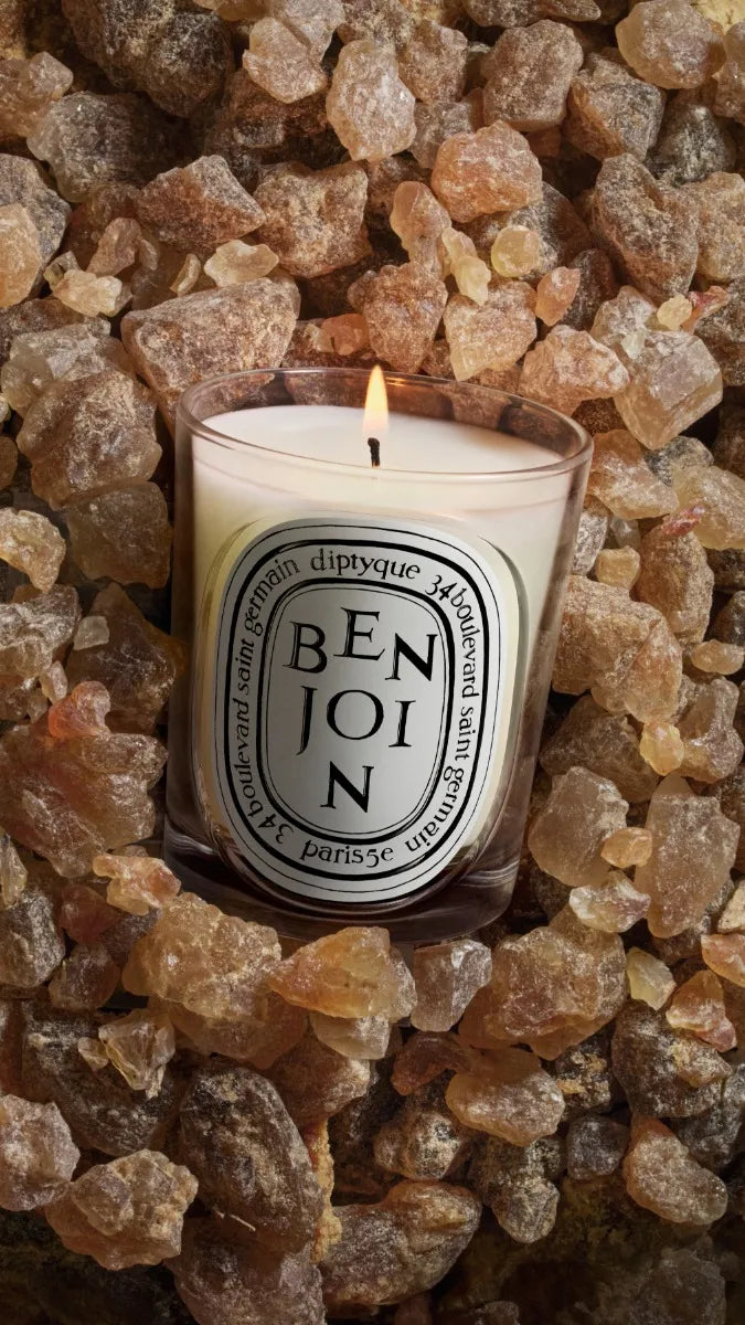 Benjoin (Benzoin) - Classic Candle