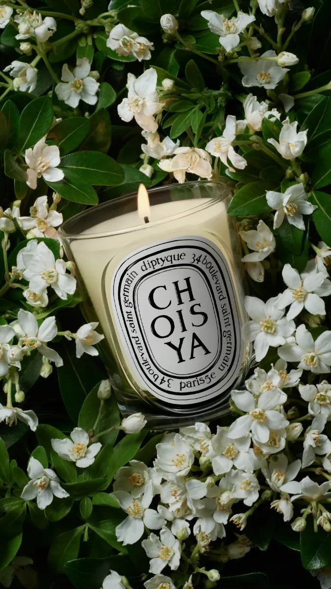 Choisya (Orange Blossom) - Classic Candle