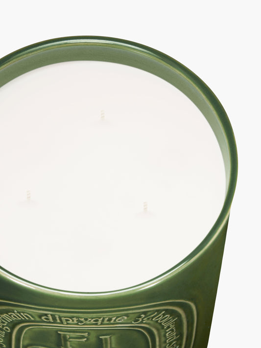 Figuier (Fig Tree) - Large Candle