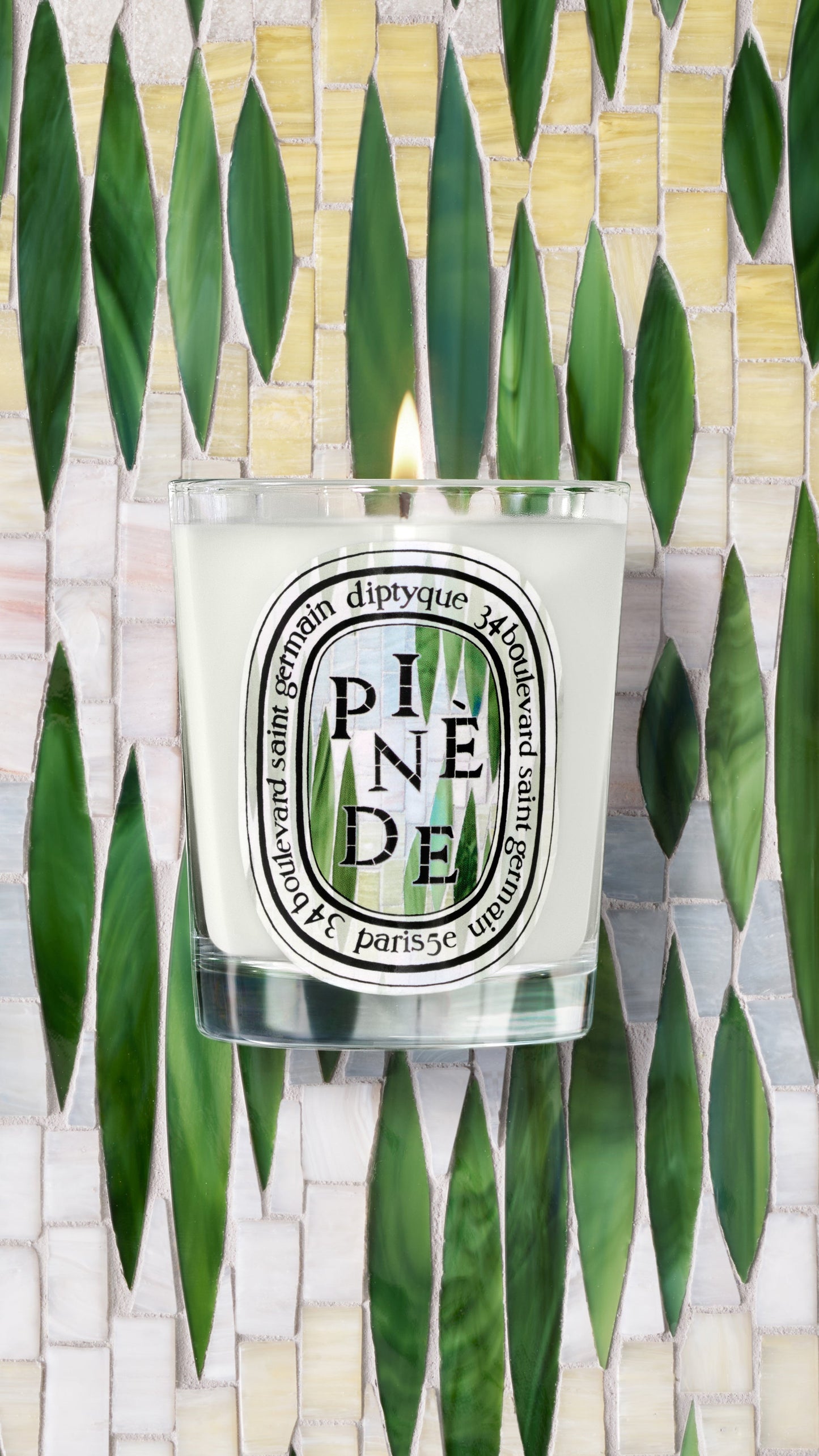 Pinède (Pine Grove) - Classic Candle