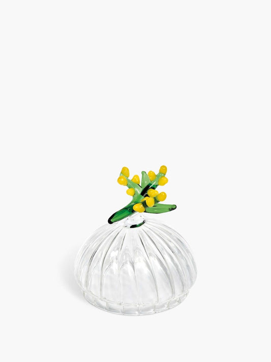 Mimosa Lid - For classic candles