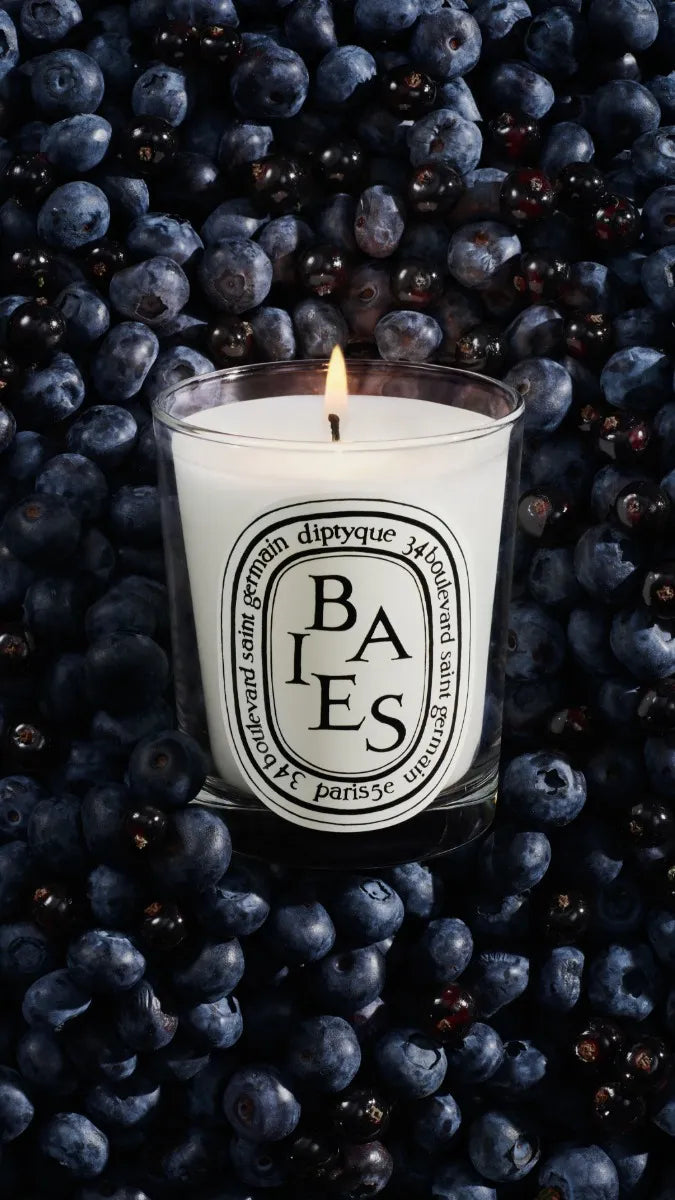Baies (Berries) - Small Candle