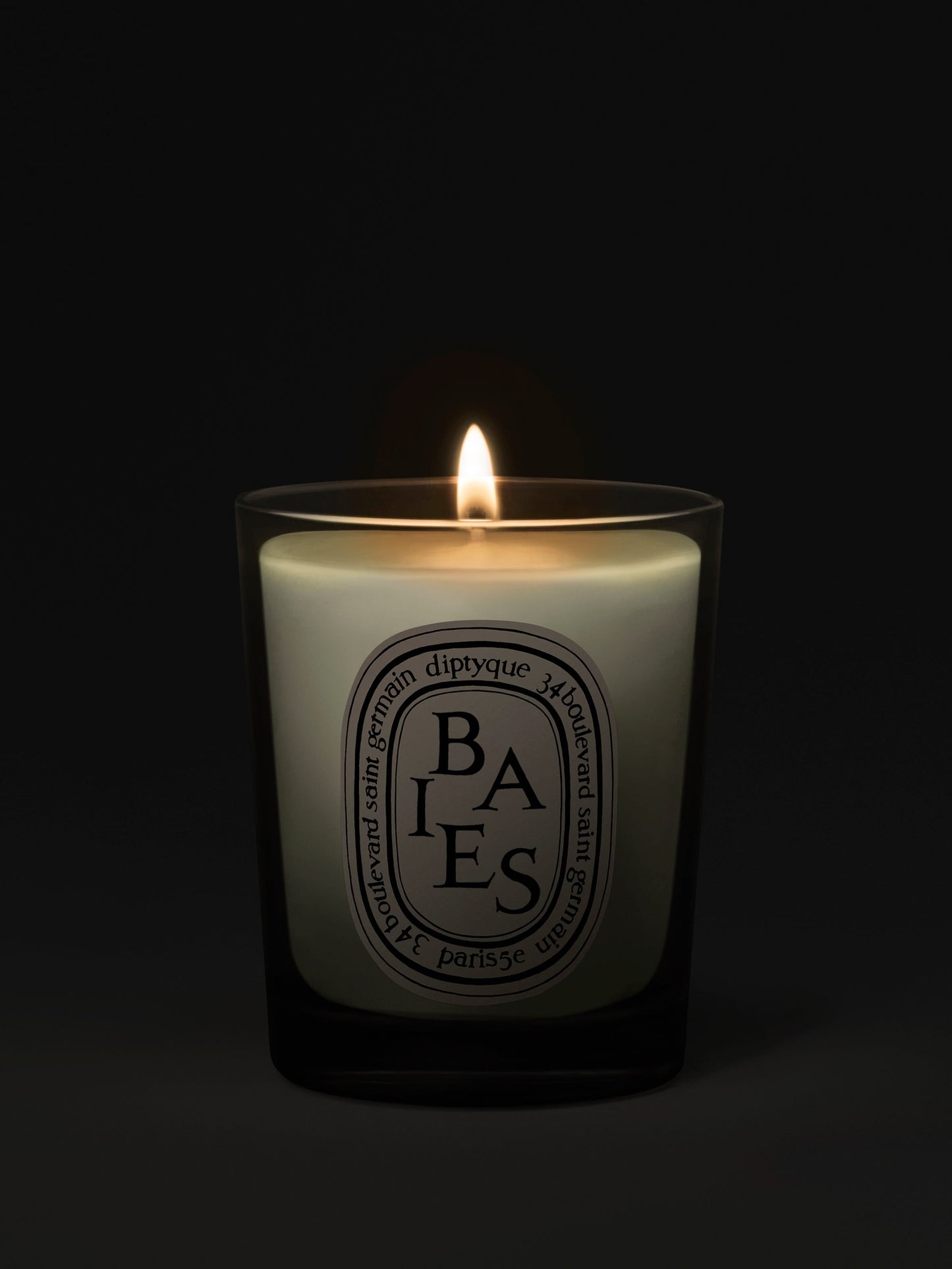 Baies (Berries) - Small Candle