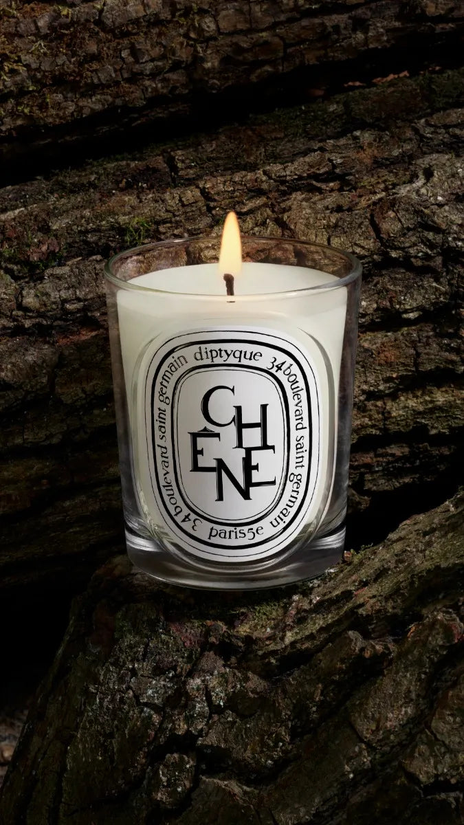 Chêne (Oak Tree) - Classic Candle
