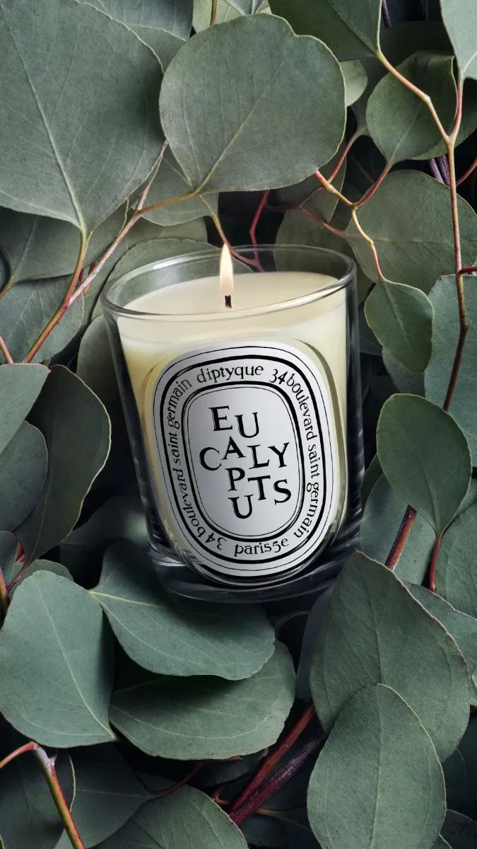 Eucalyptus - Classic Candle