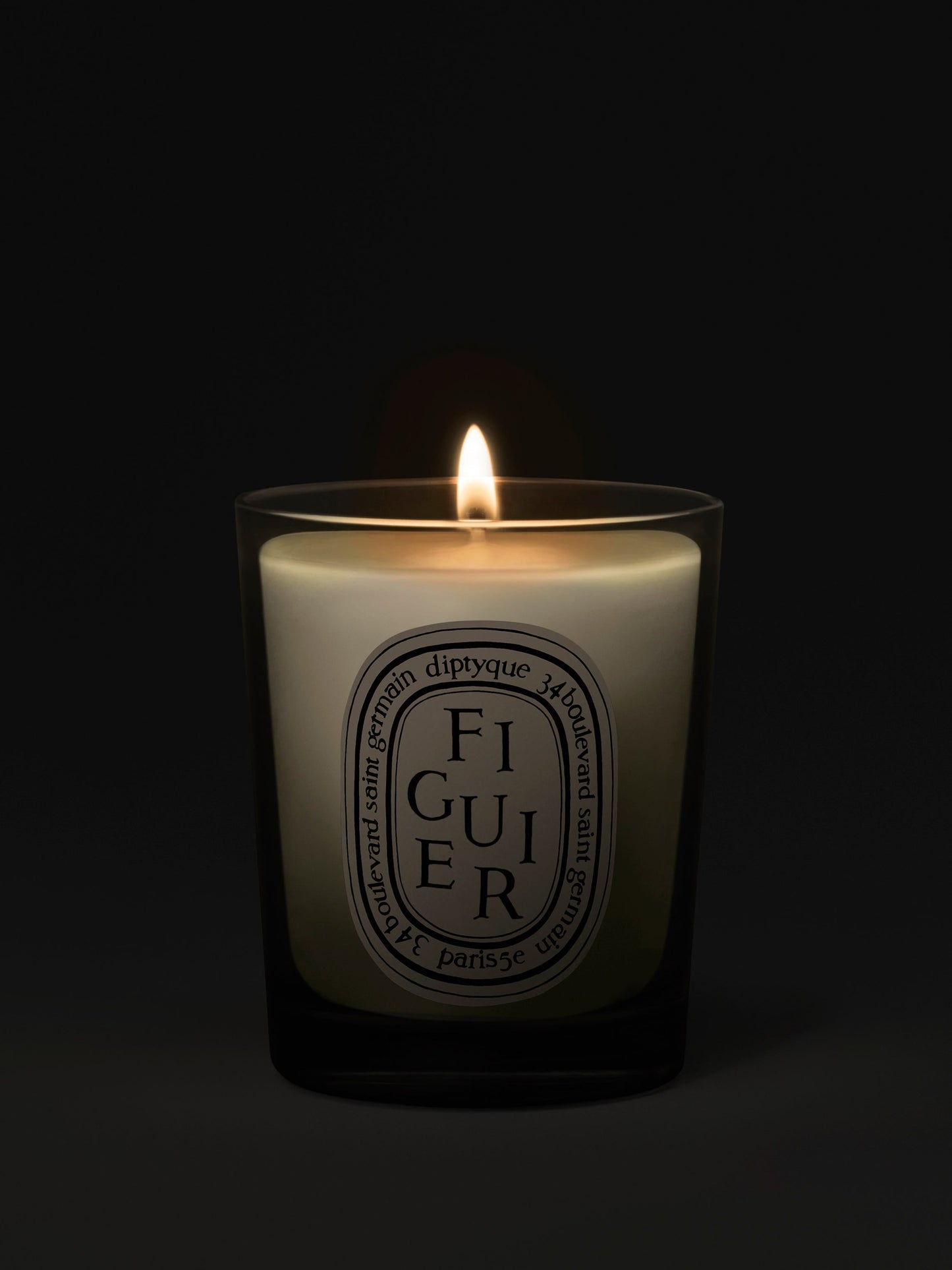 Figuier (Fig Tree) - Small Candle