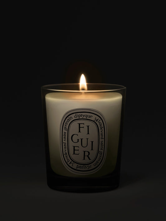 Figuier (Fig Tree) - Small Candle