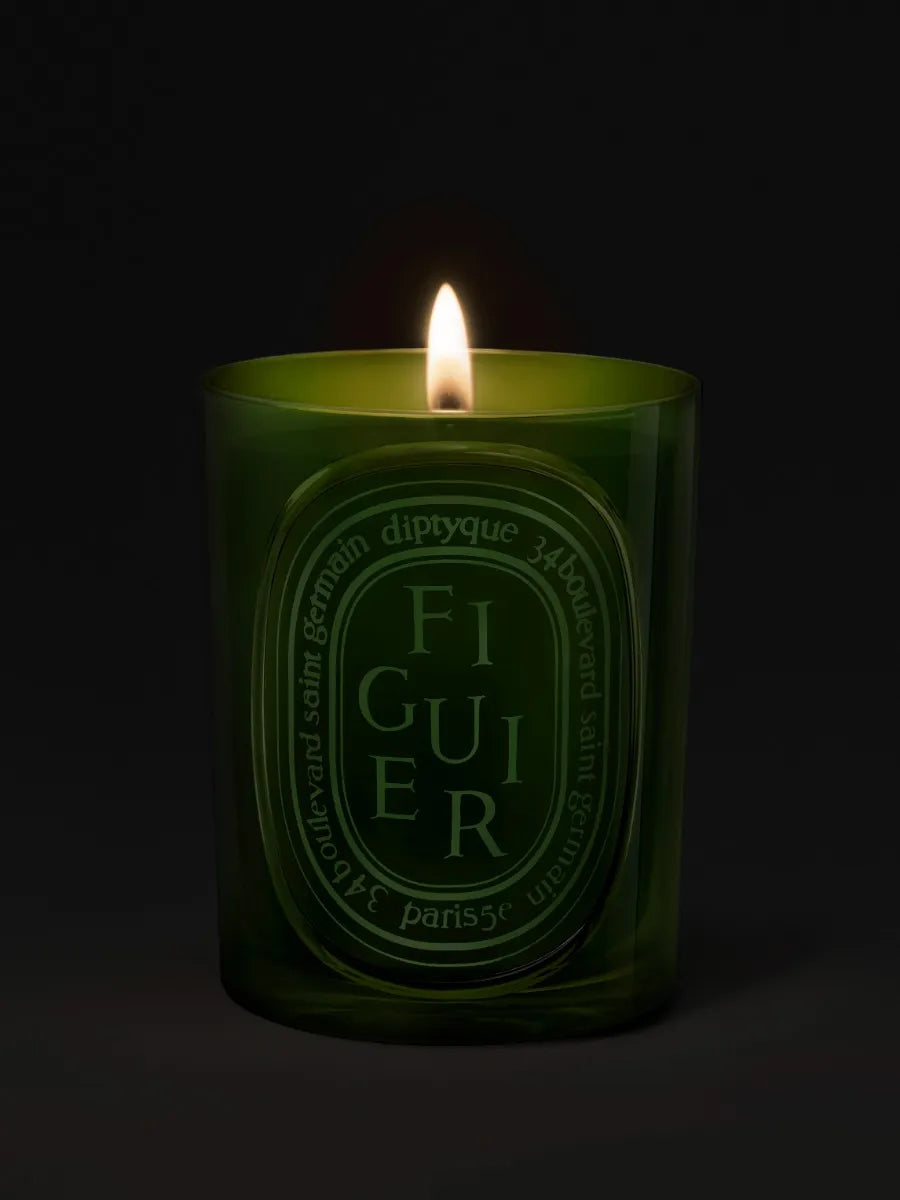 Figuier (Fig Tree) - Medium Candle