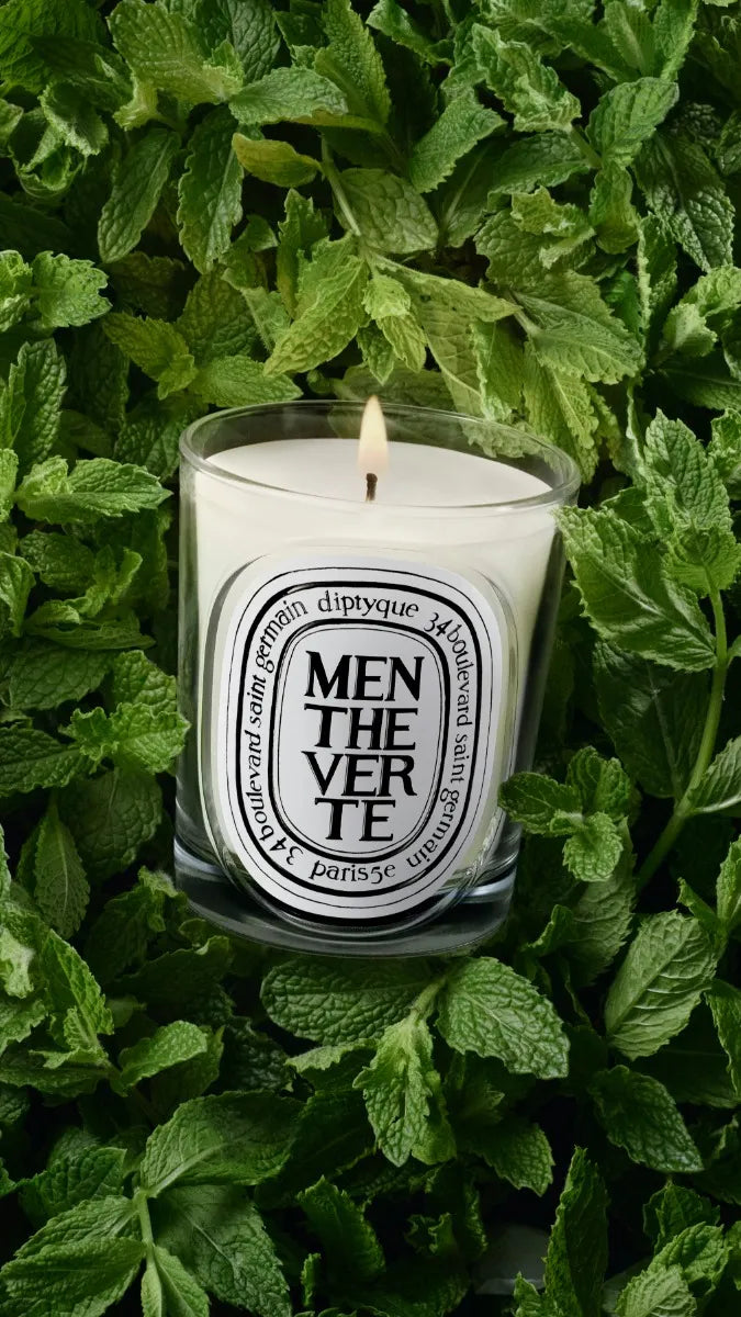 Menthe Verte (Spearmint) - Classic Candle