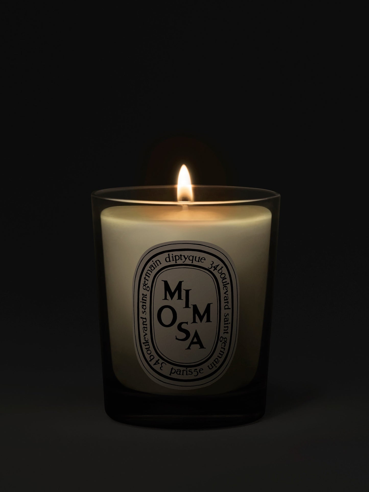 Mimosa - Small Candle