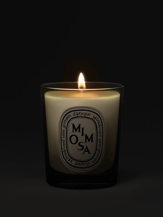 Mimosa - Small Candle