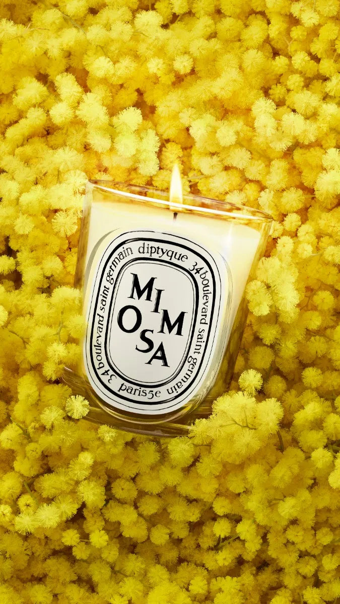 Mimosa - Classic Candle