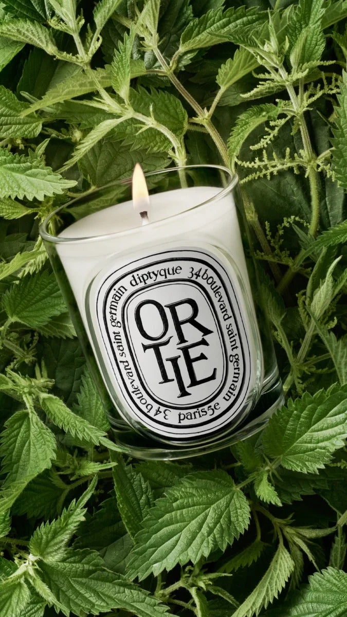 Ortie (Nettle) - Classic Candle