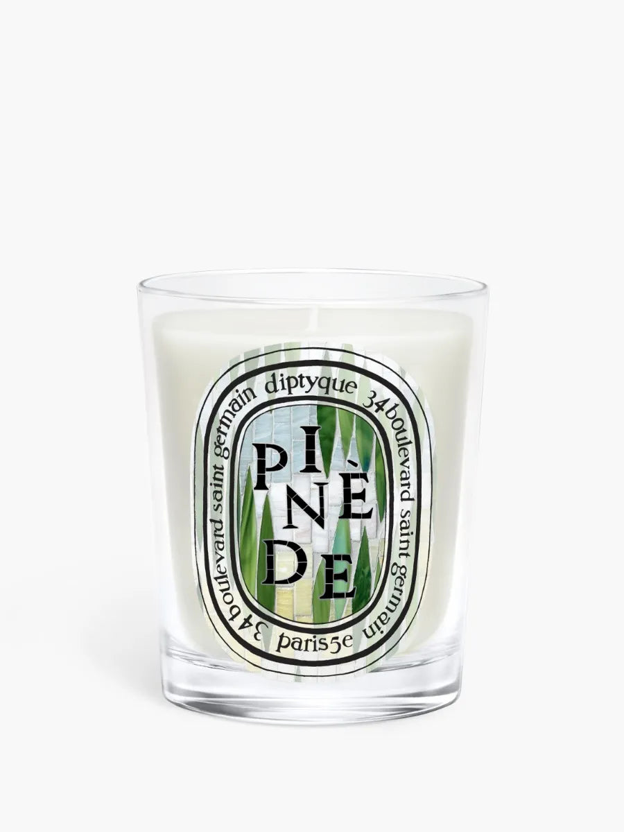 Pinède (Pine Grove) - Classic Candle