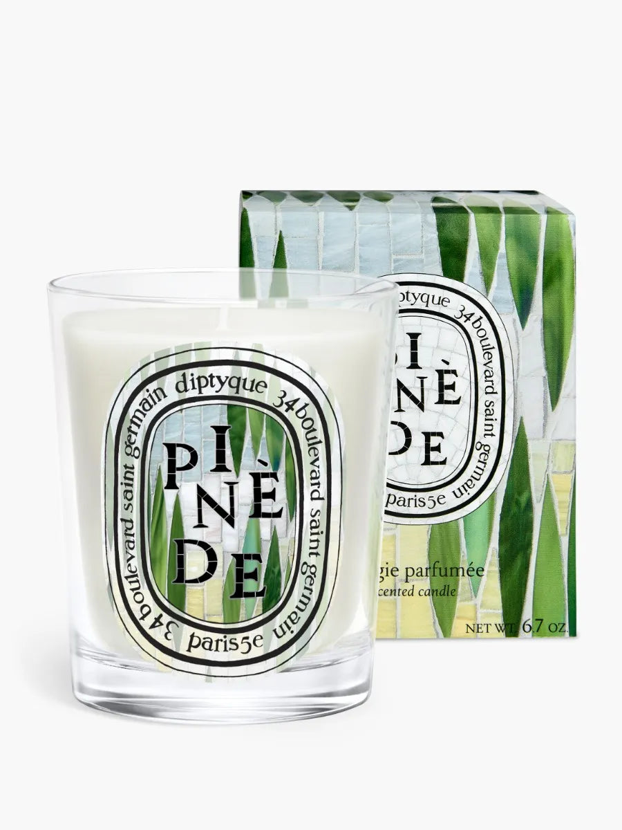 Pinède (Pine Grove) - Classic Candle
