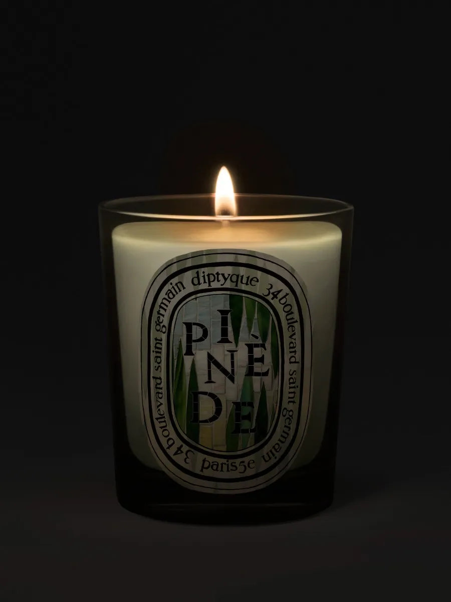 Pinède (Pine Grove) - Classic Candle