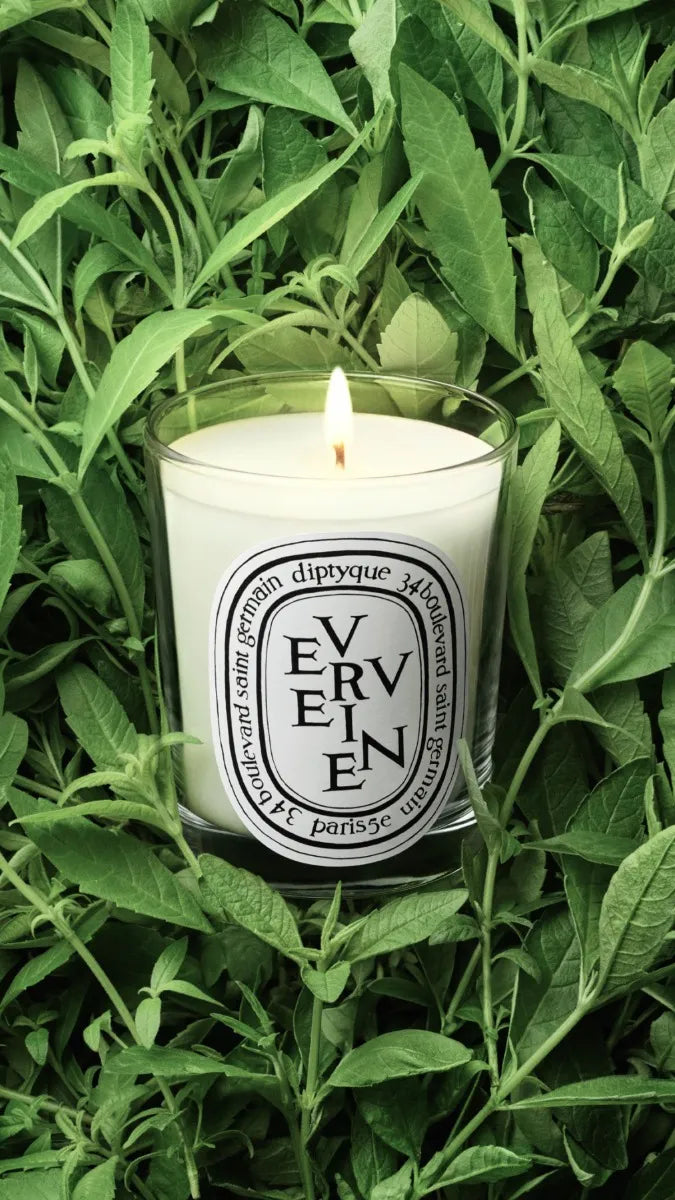 Verveine (Lemon Verbena Scented) - Small Candle