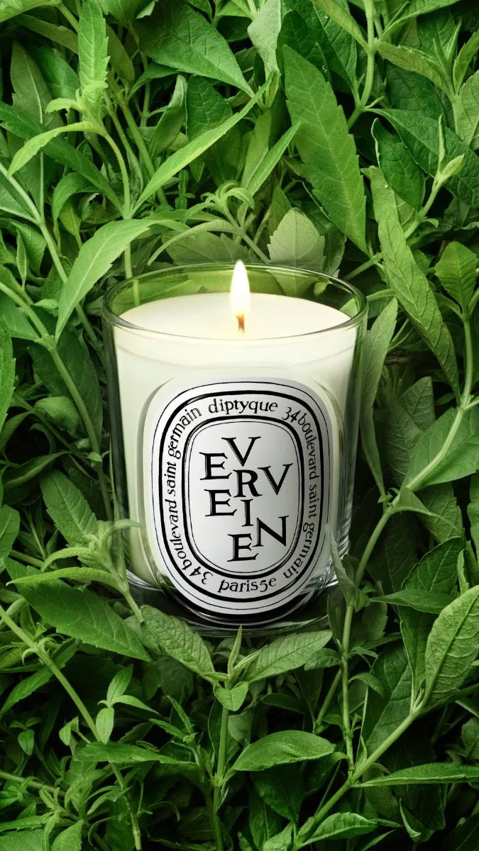 Verveine (Lemon Verbena Scented) - Classic Candle