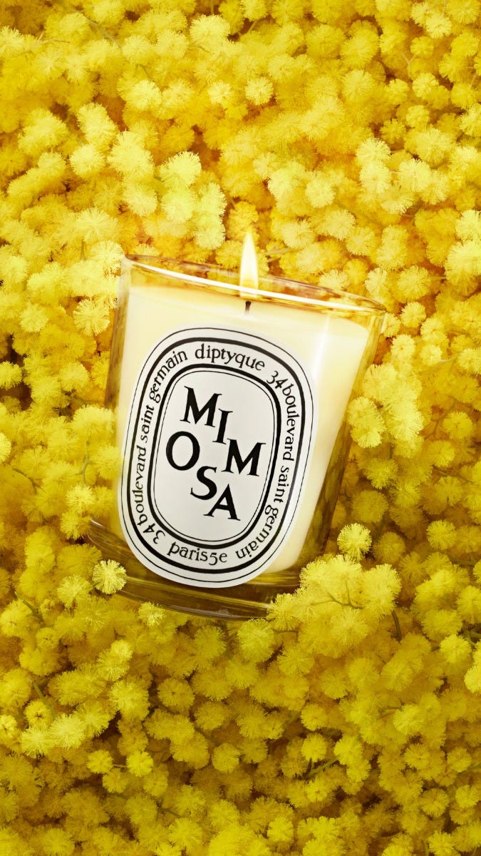 Mimosa - Small Candle