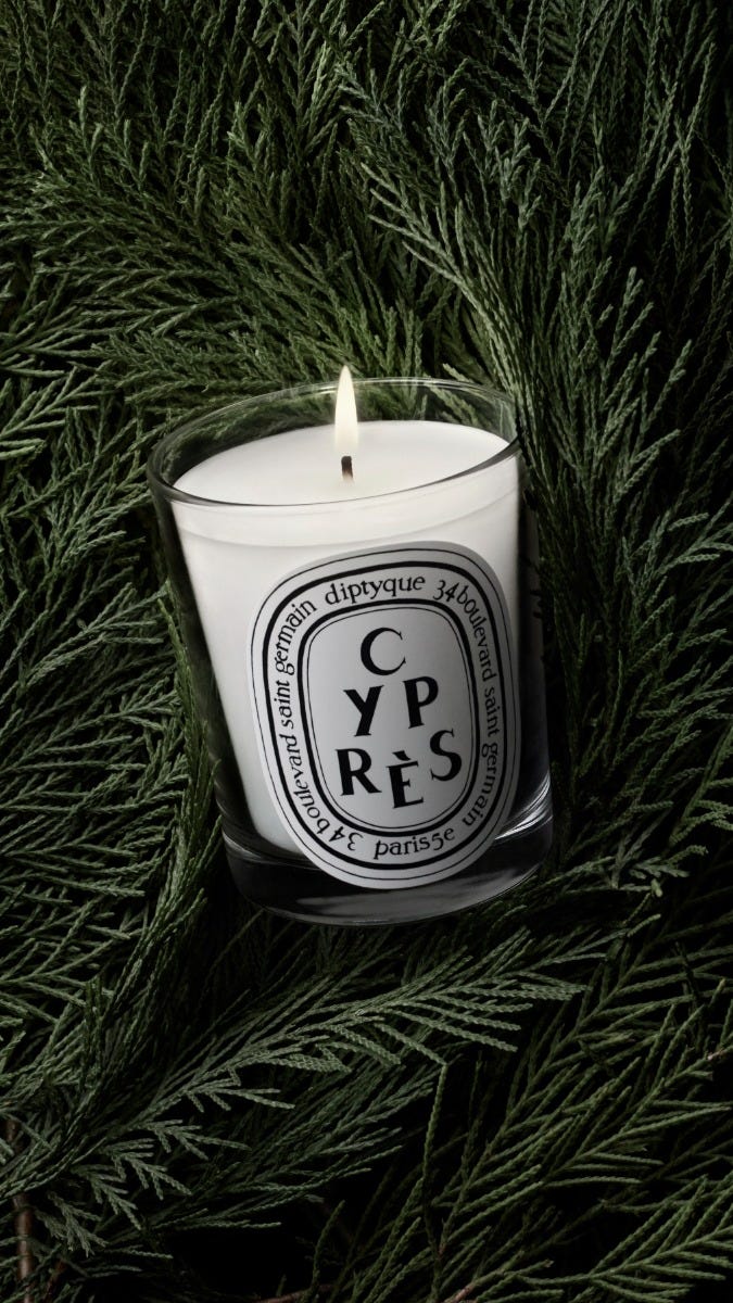Cyprès (Cypress) - Small Candle