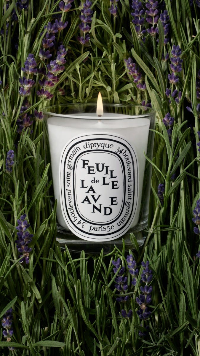 Feuille de Lavande (Lavender Leaf) - Small Candle