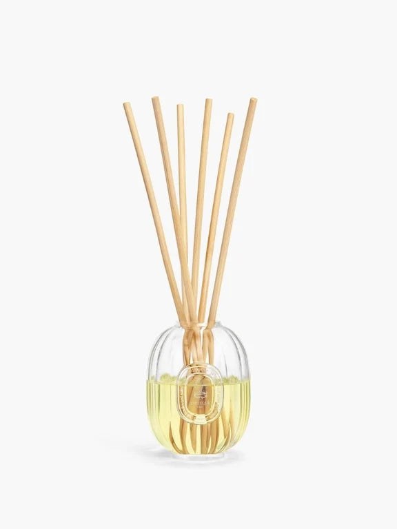 Home Fragrance Diffuser - Glass vessel
