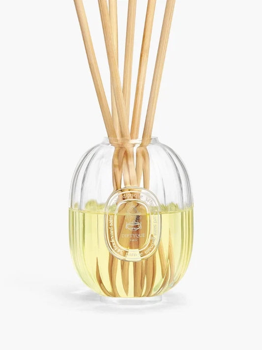 Home Fragrance Diffuser - Glass vessel