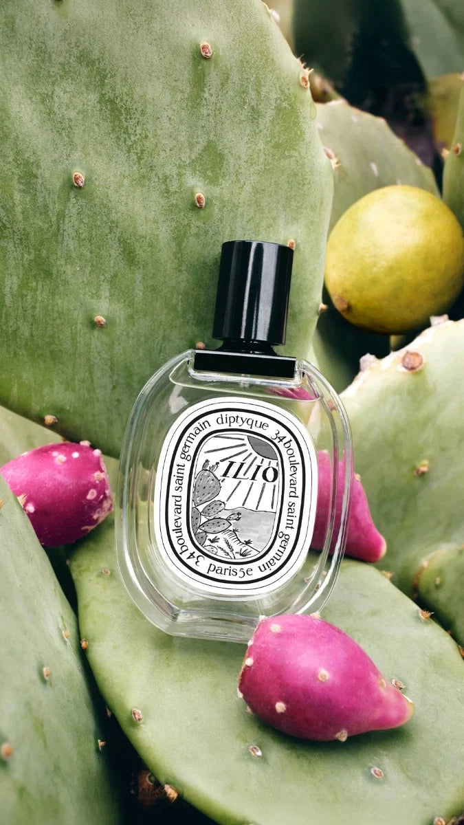 Ilio - Eau de toilette