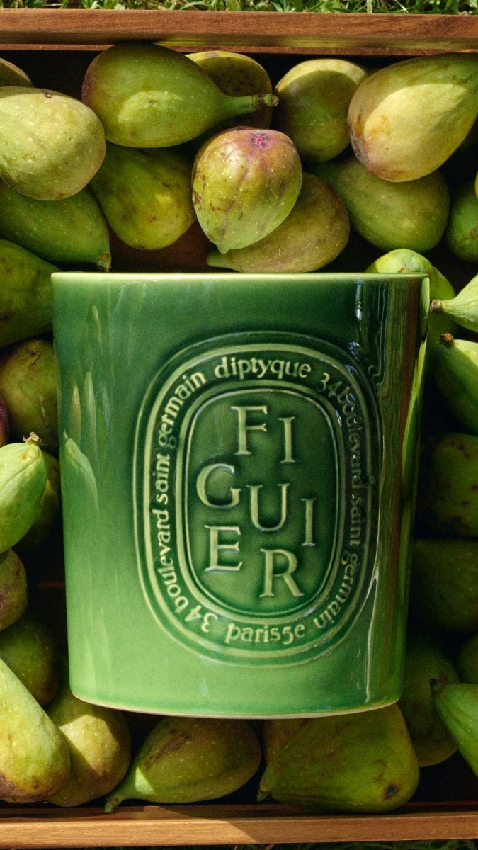 Figuier (Fig Tree) - Very Large Candle