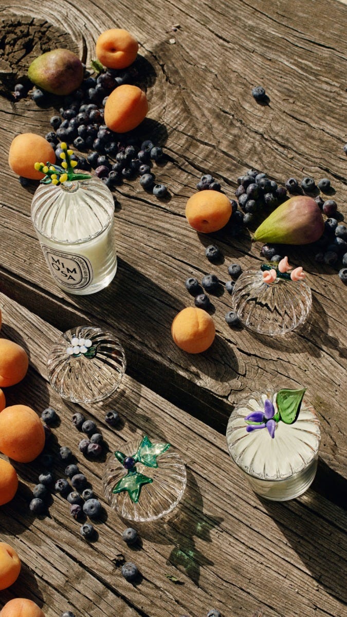 Mimosa Lid - For classic candles